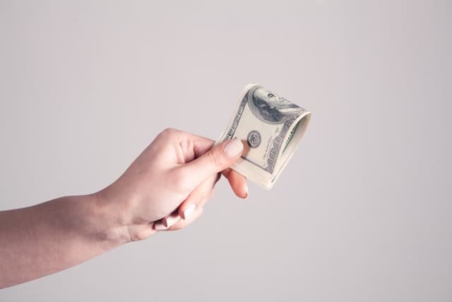 How to Pay Back Investors