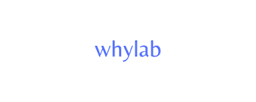 WhyLab logo icon